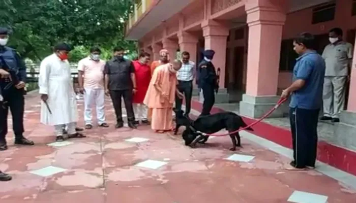 गोरखपुर: गोरखनाथ मंदिर में सीएम योगी ने गुल्लू और कालू को दिखाया प्यार, फोटो वायरल