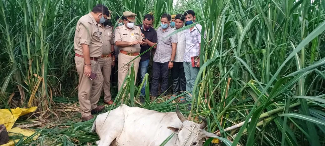संभल : मुठभेड़ में एक सिपाही और बदमाश को लगी गोली, घायल