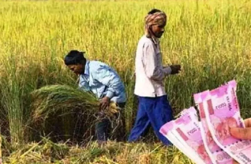 बरेली: दो साल में दोगुनी हो गई खेती की लागत