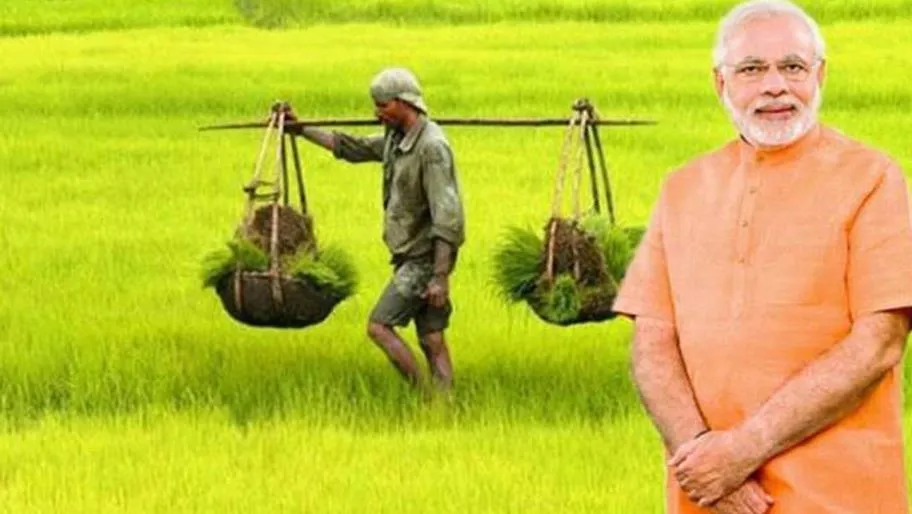 कृषि निर्यात का दायरा