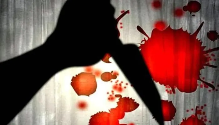 कानपुर: भाई ने जीजा की गैंती से मारकर की हत्या, जानें क्यों?