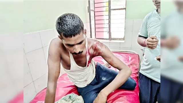 लखीमपुर खीरी: खेत में गन्ना बांध रहे मजदूर पर बाघ ने किया हमला