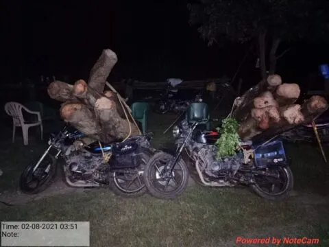 हल्द्वानी: बरहैनी के जंगलों में बाइक से ऐसे हो रही थी खैर की तस्करी…
