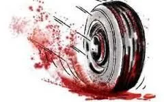 खटीमा: ट्रक चालक ने स्कूटी सवार को रौंदा..बेटे की मौत, मां घायल