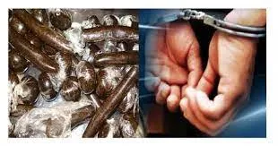 रुद्रपुर: 25 लाख की चरस के साथ दो गिरफ्तार 