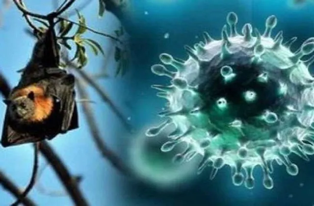 निपाह वायरस: केरल में 12 साल के बच्चे की मौत, केंद्र ने रवाना की टीम