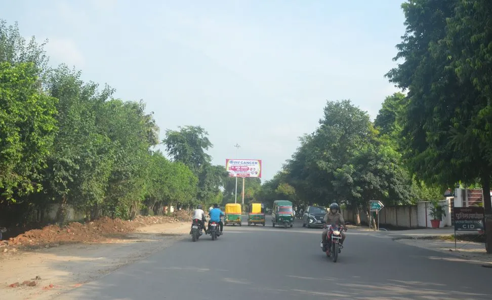 बरेली: पहले खुदाई से, अब पेड़ों के ट्रांसलोकेशन से बिगड़ेगा एक्यूआई