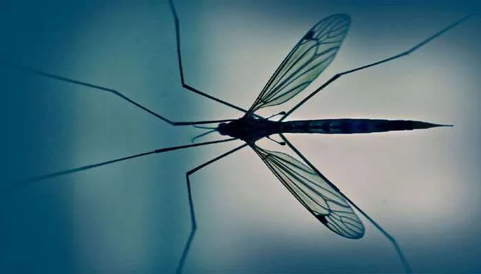 लखनऊ: डेंगू, मलेरिया पर नियंत्रण स्थापित करने के उद्देश्य से जिलाधिकारी ने ली बैठक