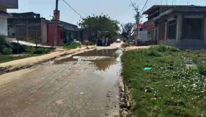 लखनऊ: जगह- जगह जल जमाव ने बढ़ाया डेंगू का खतरा, जानें क्या कहते हैं जिम्मेदार