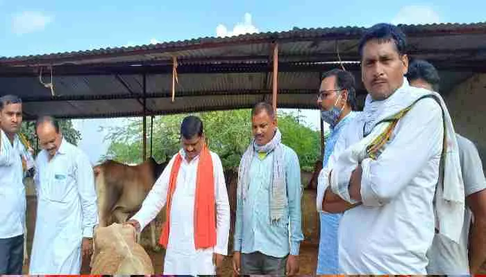 बाराबंकी: गौशाला में गोवंशों की मौत, पूर्व विधायक ने राष्ट्रपति से कर दी ये बड़ी मांग