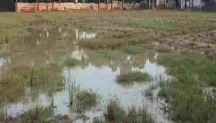 औरैया: पूर्व माध्यमिक विद्यालय में बदहाल खेल का मैदान, बच्चे परेशान
