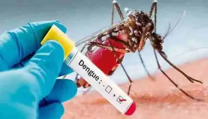 फिरोजाबाद: डेंगू व वायरल बुखार से बिगड़े हालात, न बेड मिल रहे न इलाज