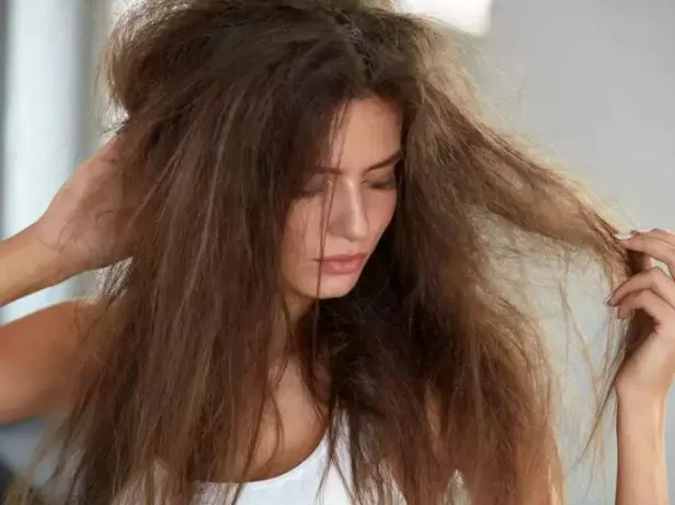 Hair Care Tips: अगर आपके बाल भी हैं रूखे और सफेद तो अपनाएं ये हेयर पैक्स