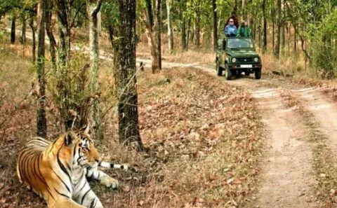 अच्छी खबर: एक नवंबर से खुलेगा फाटो पर्यटन जोन