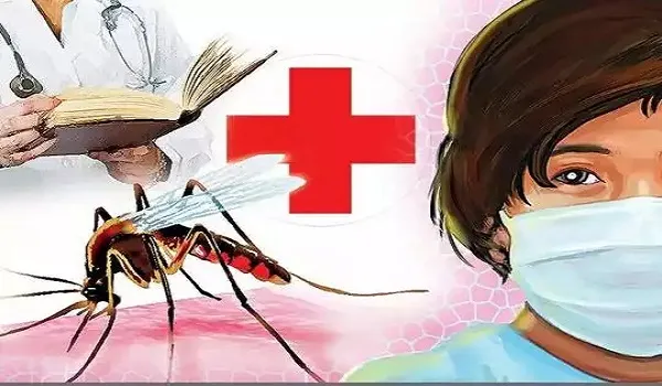 मुरादाबाद: डेंगू ने पसारे पांव, शहर में मिले तीन और नए रोगी