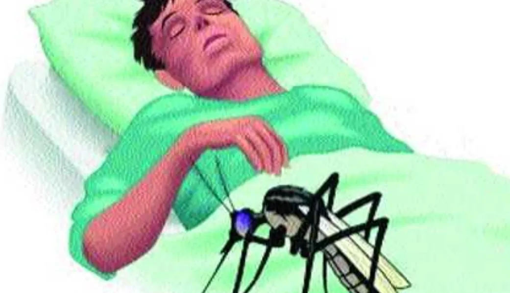 बरेली: जिले में निकले 29 मलेरिया के मरीज