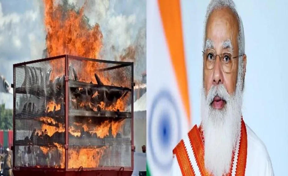 जानिए क्यों जलाए गए गैंडों के 2,479 सींग? मोदी ने की सरकार के इस फैसले की सराहना