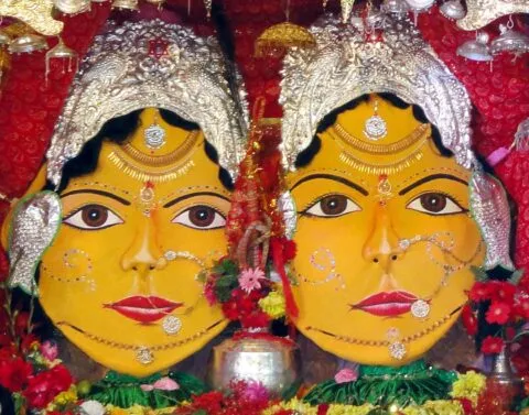 भवाली: नंदा-सुनंदा महोत्सव शुभारंभ, कदली वृक्ष लाने के लिए गंगनाथ मंदिर फरसोली हुए रवाना