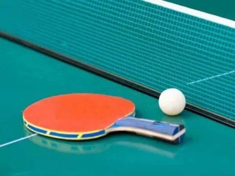 रानीखेत: टेबल टेनिस में प्रभात मेहरा और आरव पार्की बने विजेता