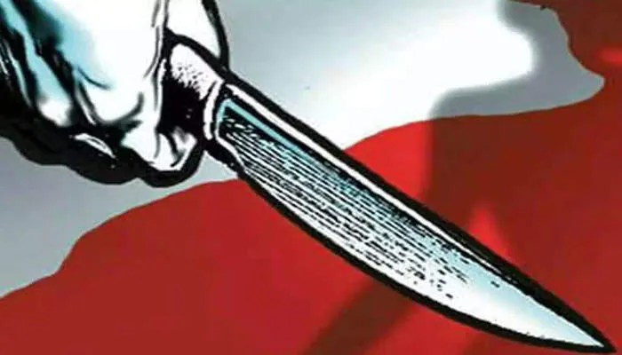 सीतापुर: पति ने चाकू से काटी पत्नी की नाक, जानें वजह…