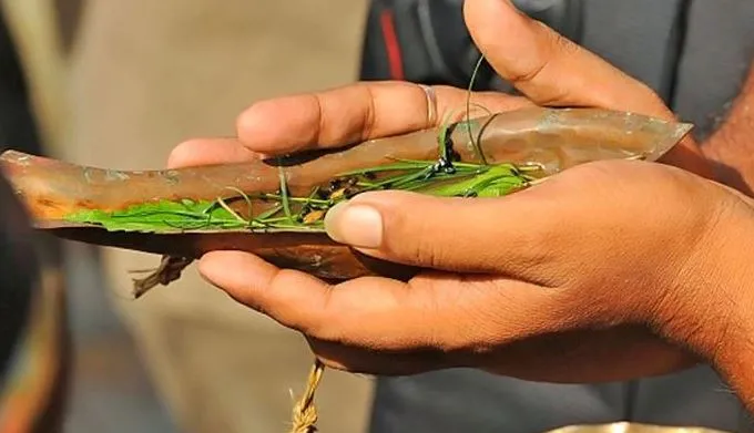 पितृपक्ष पर विशेष: आशीर्वाद पिता का…