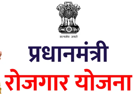प्रधानमंत्री स्वरोजगार योजना से प्रेरित होकर युवाओं ने शरू किया ये रोजगार