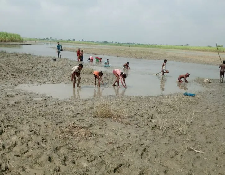 लखीमपुर खीरी: शारदा नदी में बह रहीं मरी मछलियां, ग्रामीणों में मचा हड़कंप