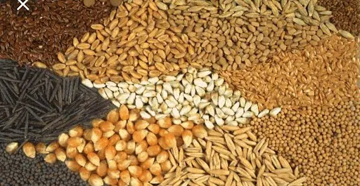 लॉन्च हुआ फार्मर स्टोर, अब किसान भी खरीद सकेंगे अमेजन पर बीज खाद