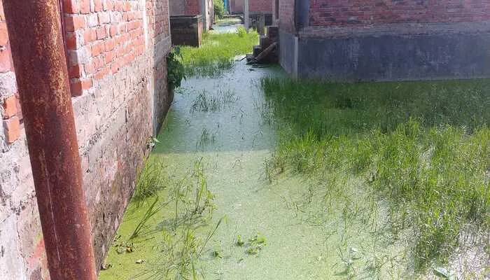 बाराबंकी: नगर पंचायत में डेंगू से सहमे लोग, सोशल मीडिया पर निकाल रहे भड़ास