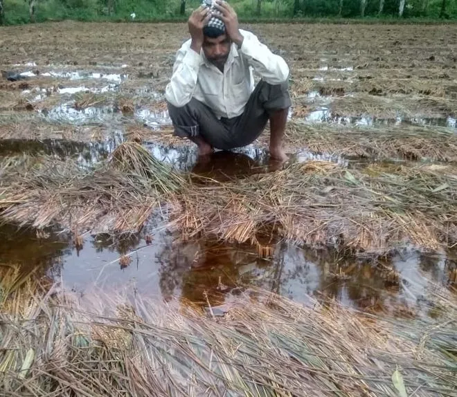 बरेली: …तो बटाई पर खेती करने वाले किसान रह जाएंगे खाली हाथ