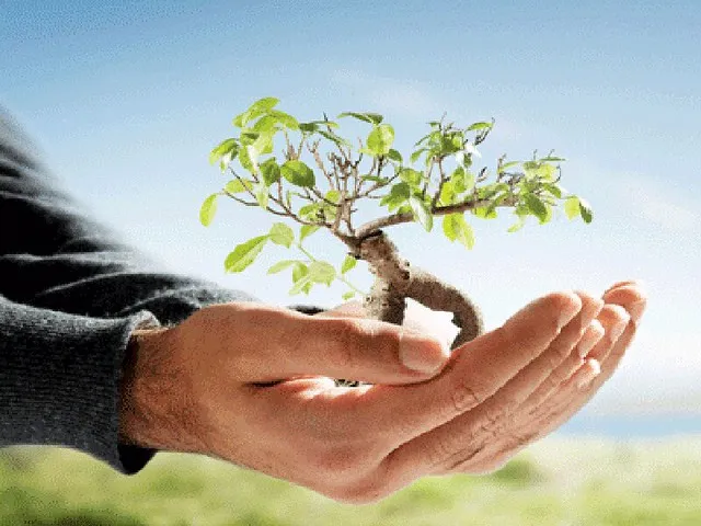 NBWL का बड़ा फैसला, संरक्षित क्षेत्रों में पर्यावरण का प्रभाव घटाने के लिए नहीं लगेगा निर्धारित जुर्माना