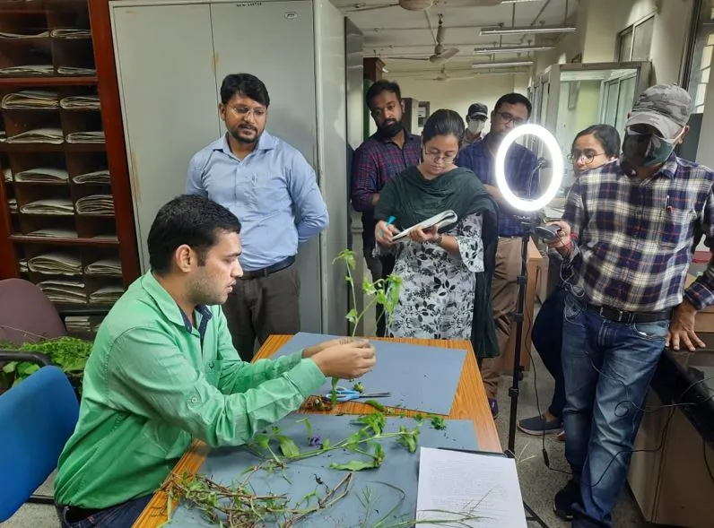 बरेली: पौधों को सुखाकर वैज्ञानिक रूप से वर्गीकरण ही हरबेरियम कहलाता है