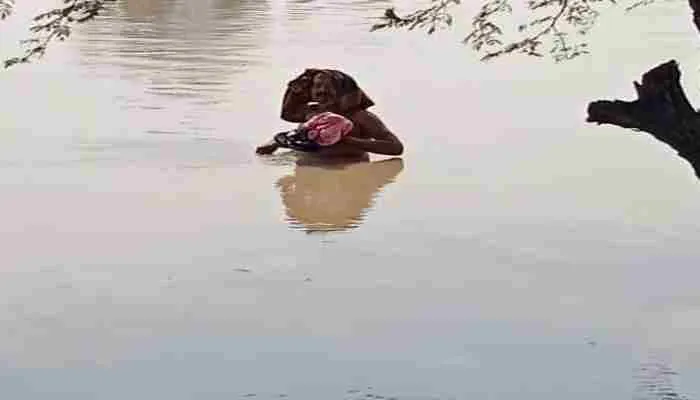 रायबरेली: डलमऊ में गंगा ने चेतावनी बिंदु किया पार, दर्जनों गांवों में घुसा पानी