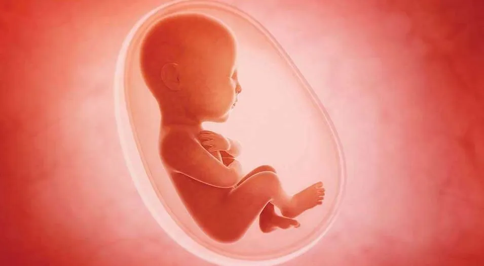 महिला ने अदालत से मांगी 24 हफ्तों से अधिक समय के भ्रूण को खत्म करने की अनुमति, सुनाया ये फैसला