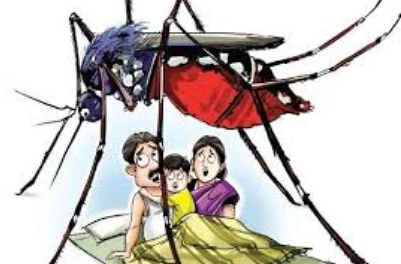 बरेली: जिले में डेंगू के निकले 15 मरीज