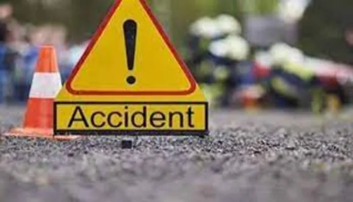 बाराबंकी: डीसीएम की चपेट में आने से गोवंश की दर्दनाक मौत