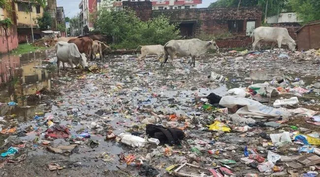 रायबरेली: डोर टू डोर कलेक्शन से सुधरेगी नगर पालिका की रैंकिंग