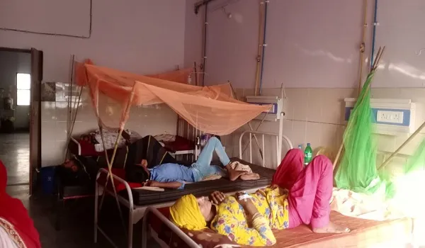 मुरादाबाद: गक्खरपुर में डेंगू के दो नये मरीज मिले, अब तक तीन की मौत