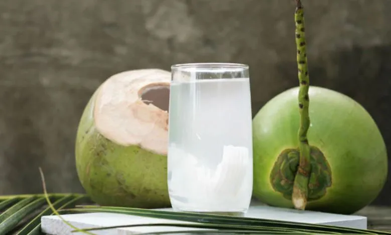 नारियल पानी पीने से हृदय रोग, पेशाब और डायबिटीज रोग होते हैं दूर