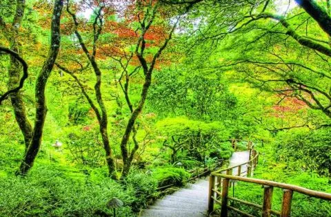 खटीमा: स्कूली बच्चों को दी जंगल और जंगली जानवरों की सुरक्षा की जानकारी
