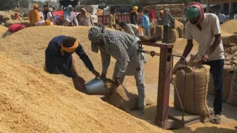 रामनगर: करनपुर सहकारी केंद्र में भी धान की खरीद शु्रू
