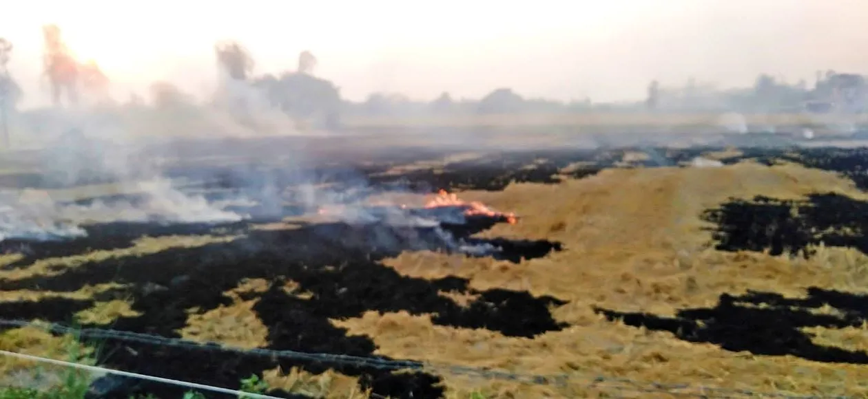 पीलीभीत: अब बिलसंडा में खेतों में जलाई गई पराली