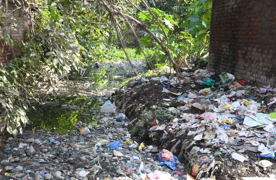 बरेली: पस्तौर में फैला बुखार, घर-घर में बीमार