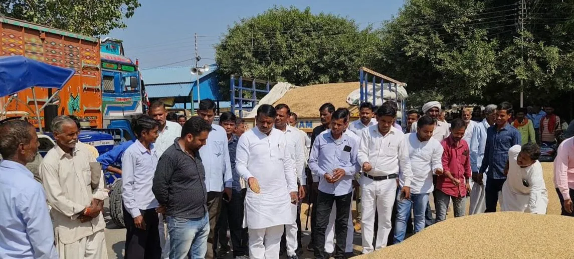 पीलीभीत: सरकारी धान खरीद में माफिया तंत्र हावी- हेमराज वर्मा