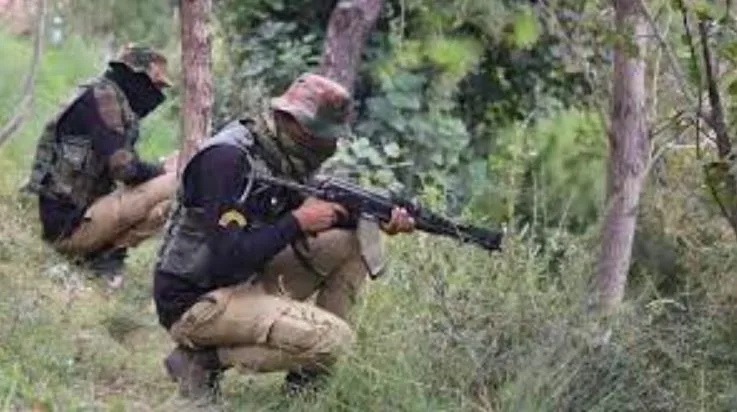 जम्मू के जंगल में गोलीबारी शुरू, तलाश अभियान जारी