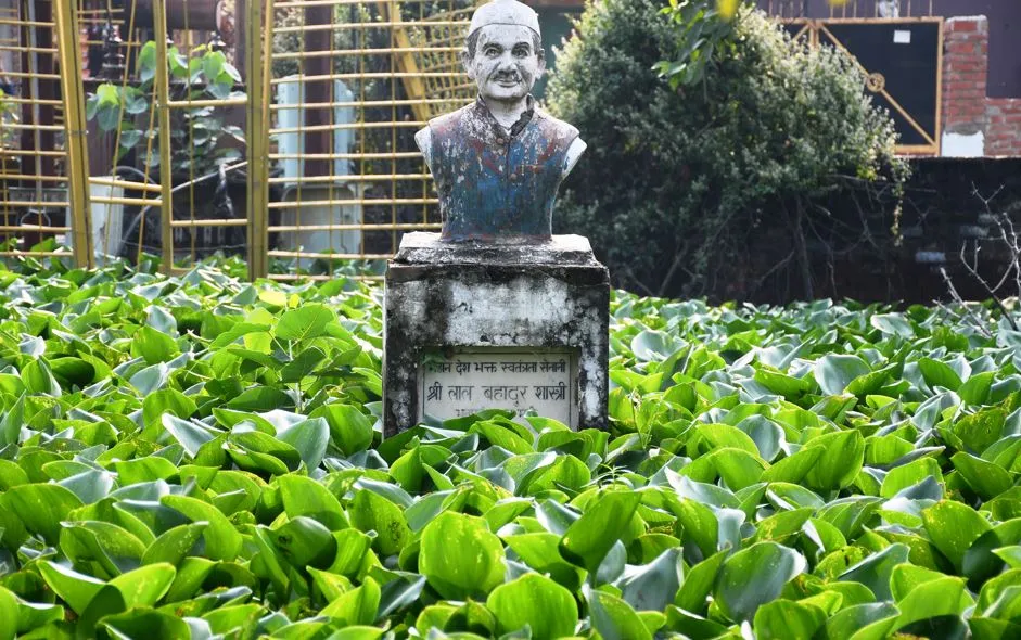 बरेली: आजादी महोत्सव के क्या मायने जलकुंभी में जकड़े हैं भारत रत्न शास्त्री