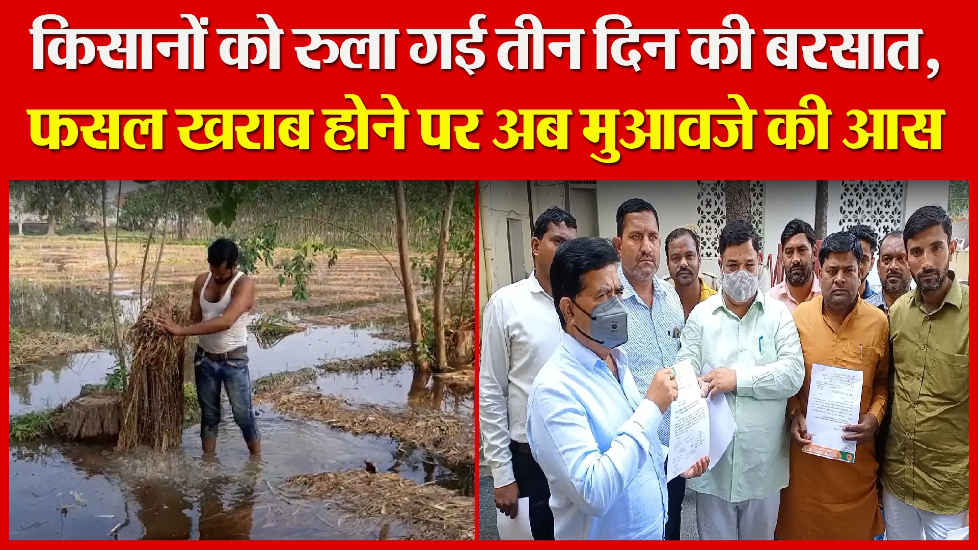 मुरादाबाद: किसानों को रुला गई तीन दिन की बरसात, फसल खराब होने पर अब मुआवजे की आस