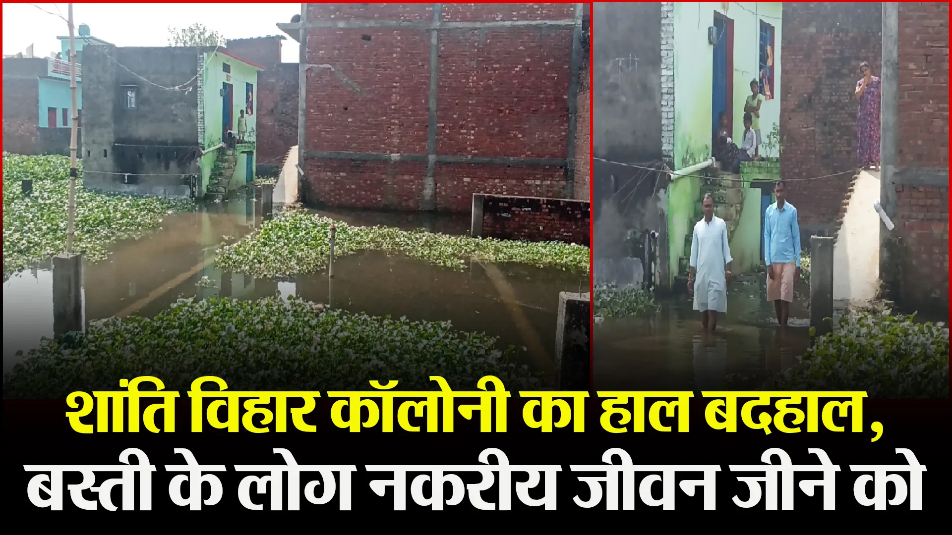 बरेली: शांति विहार कॉलोनी का हाल बदहाल, बस्ती के लोग नकरीय जीवन जीने को मजबूर