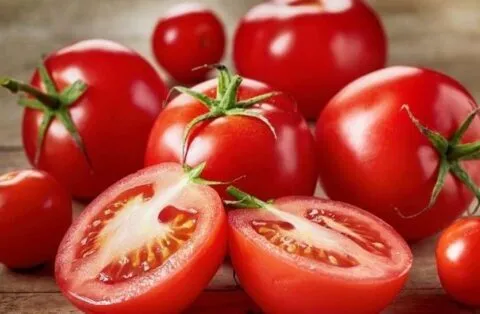 हल्द्वानी: टमाटरों के फुटकर में रेट बढ़ने से खिले किसानों के चेहरे