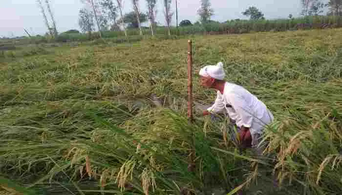 अयोध्या: गर्मी से मिली राहत…लेकिन किसानों के छूटे पसीने, जानें वजह